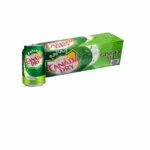 Canada Dry Ginger Ale